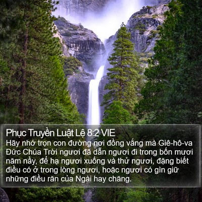 Phục Truyền Luật Lệ 8:2 VIE Bible Verse Image