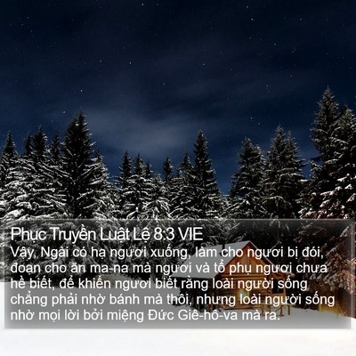 Phục Truyền Luật Lệ 8:3 VIE Bible Verse Image