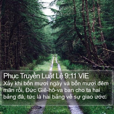 Phục Truyền Luật Lệ 9:11 VIE Bible Verse Image