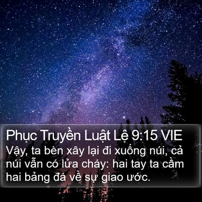 Phục Truyền Luật Lệ 9:15 VIE Bible Verse Image