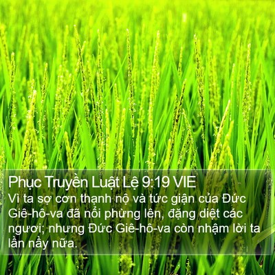 Phục Truyền Luật Lệ 9:19 VIE Bible Verse Image