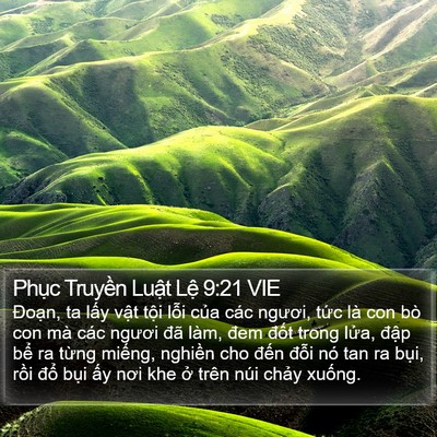 Phục Truyền Luật Lệ 9:21 VIE Bible Verse Image