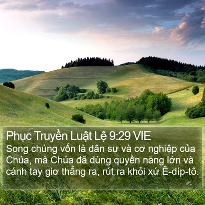 Phục Truyền Luật Lệ 9:29 VIE Bible Verse Image