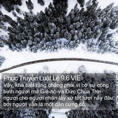 Phục Truyền Luật Lệ 9:6 VIE Bible Verse Image