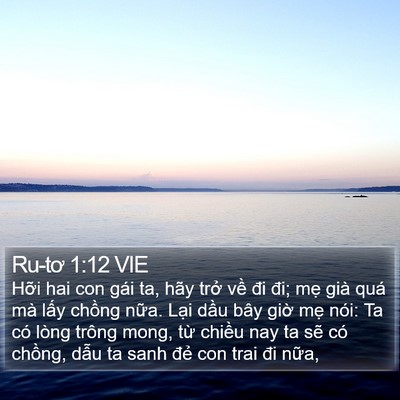 Ru-tơ 1:12 VIE Bible Verse Image