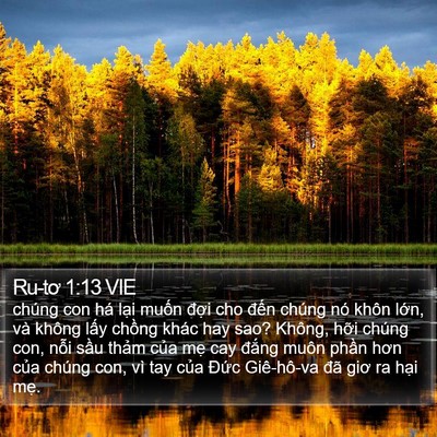 Ru-tơ 1:13 VIE Bible Verse Image