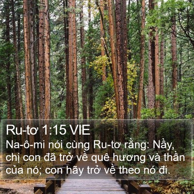 Ru-tơ 1:15 VIE Bible Verse Image