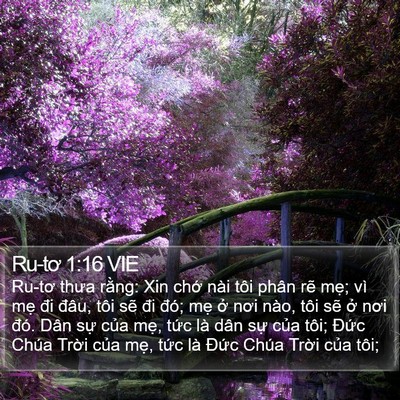 Ru-tơ 1:16 VIE Bible Verse Image
