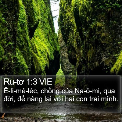 Ru-tơ 1:3 VIE Bible Verse Image