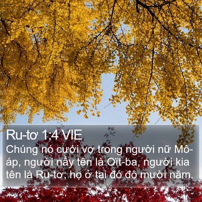 Ru-tơ 1:4 VIE Bible Verse Image