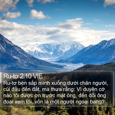 Ru-tơ 2:10 VIE Bible Verse Image