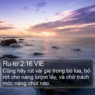 Ru-tơ 2:16 VIE Bible Verse Image