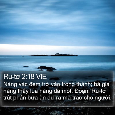 Ru-tơ 2:18 VIE Bible Verse Image