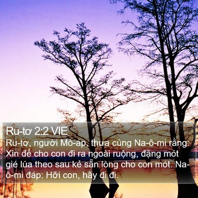Ru-tơ 2:2 VIE Bible Verse Image
