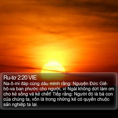 Ru-tơ 2:20 VIE Bible Verse Image