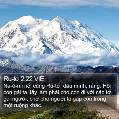 Ru-tơ 2:22 VIE Bible Verse Image