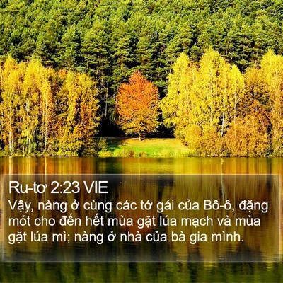 Ru-tơ 2:23 VIE Bible Verse Image