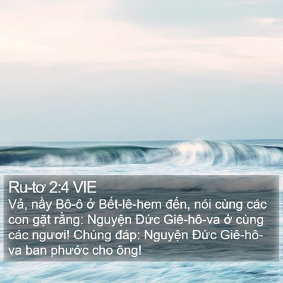 Ru-tơ 2:4 VIE Bible Verse Image