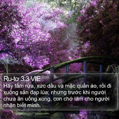 Ru-tơ 3:3 VIE Bible Verse Image