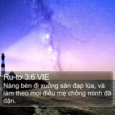 Ru-tơ 3:6 VIE Bible Verse Image
