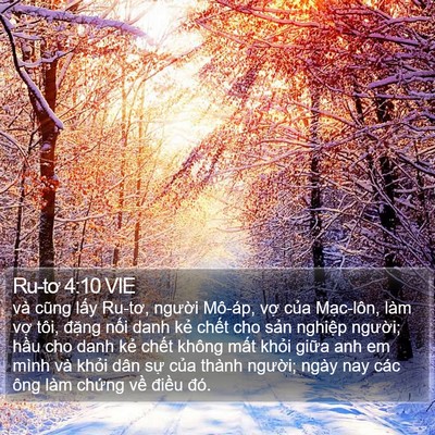 Ru-tơ 4:10 VIE Bible Verse Image