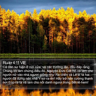 Ru-tơ 4:11 VIE Bible Verse Image