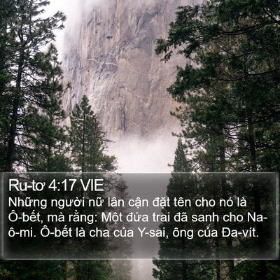 Ru-tơ 4:17 VIE Bible Verse Image