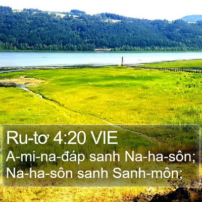 Ru-tơ 4:20 VIE Bible Verse Image