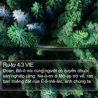 Ru-tơ 4:3 VIE Bible Verse Image