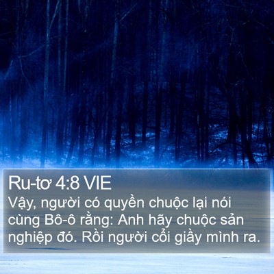 Ru-tơ 4:8 VIE Bible Verse Image