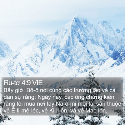 Ru-tơ 4:9 VIE Bible Verse Image