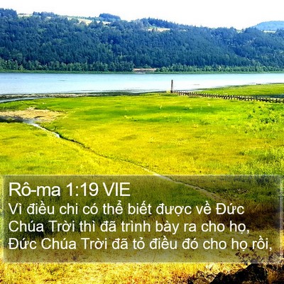 Rô-ma 1:19 VIE Bible Verse Image