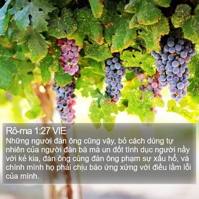 Rô-ma 1:27 VIE Bible Verse Image