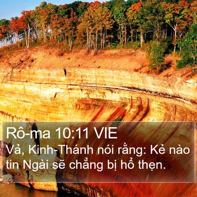 Rô-ma 10:11 VIE Bible Verse Image