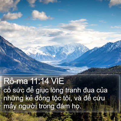 Rô-ma 11:14 VIE Bible Verse Image