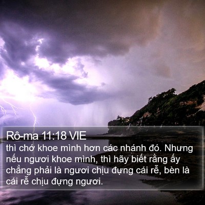 Rô-ma 11:18 VIE Bible Verse Image