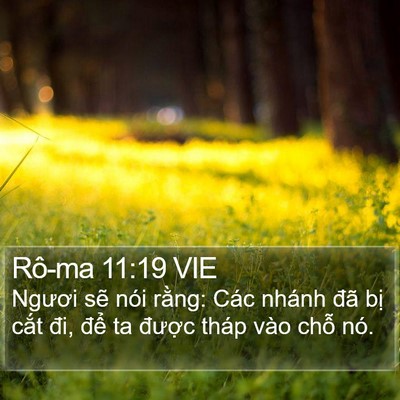 Rô-ma 11:19 VIE Bible Verse Image