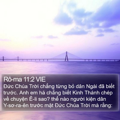 Rô-ma 11:2 VIE Bible Verse Image