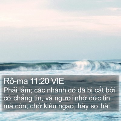 Rô-ma 11:20 VIE Bible Verse Image