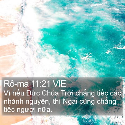 Rô-ma 11:21 VIE Bible Verse Image