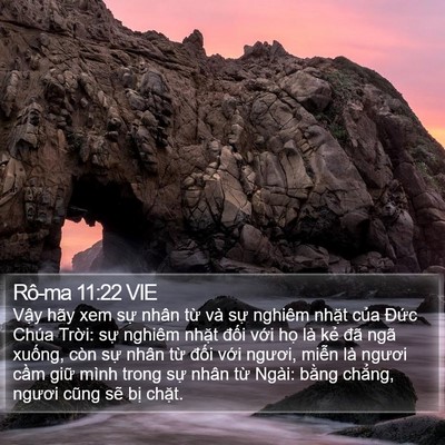 Rô-ma 11:22 VIE Bible Verse Image