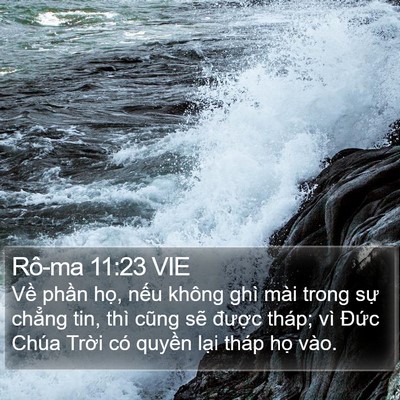 Rô-ma 11:23 VIE Bible Verse Image