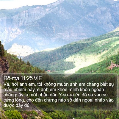 Rô-ma 11:25 VIE Bible Verse Image
