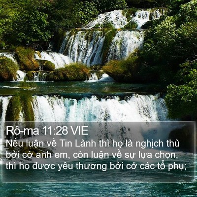 Rô-ma 11:28 VIE Bible Verse Image