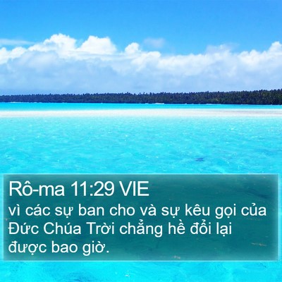 Rô-ma 11:29 VIE Bible Verse Image