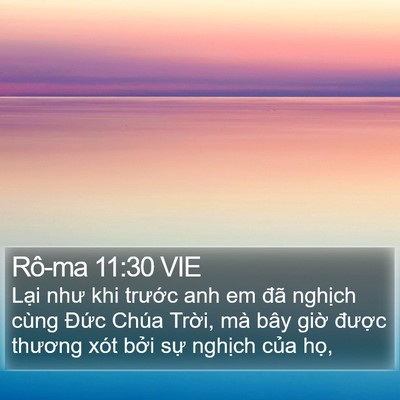 Rô-ma 11:30 VIE Bible Verse Image