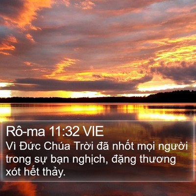Rô-ma 11:32 VIE Bible Verse Image