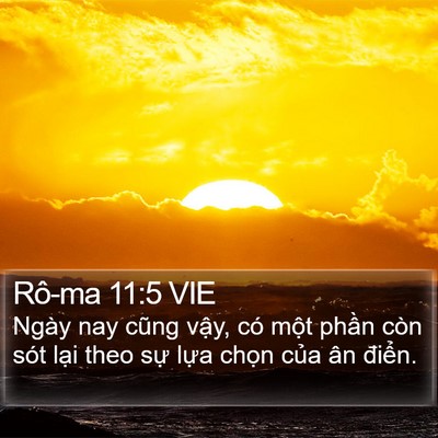 Rô-ma 11:5 VIE Bible Verse Image