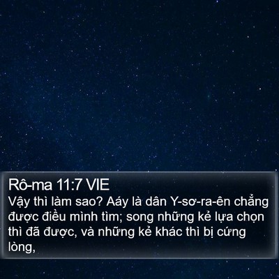 Rô-ma 11:7 VIE Bible Verse Image