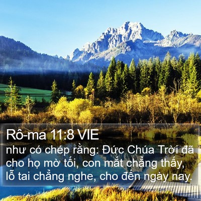 Rô-ma 11:8 VIE Bible Verse Image